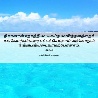 Picture 06 - எசேக்கியேல் 16:29 TAMIRV - நீ கானான் - Bible Verse Picture