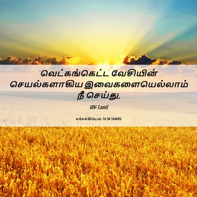 Picture 06 - எசேக்கியேல் 16:30 TAMIRV - வெட்கங்கெட்ட - Bible Verse Picture