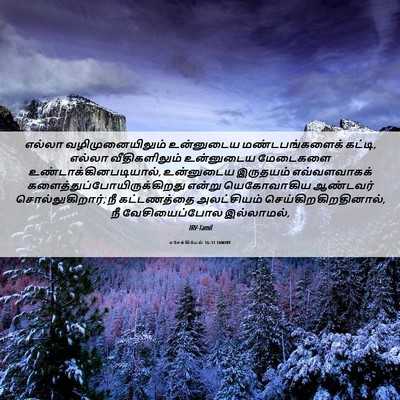 Picture 06 - எசேக்கியேல் 16:31 TAMIRV - எல்லா - Bible Verse Picture