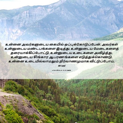 Picture 06 - எசேக்கியேல் 16:39 TAMIRV - உன்னை அவர்களுடைய - Bible Verse Picture