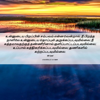 Picture 06 - எசேக்கியேல் 16:4 TAMIRV - உன்னுடைய - Bible Verse Picture