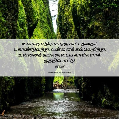 Picture 06 - எசேக்கியேல் 16:40 TAMIRV - உனக்கு எதிராக ஒரு - Bible Verse Picture
