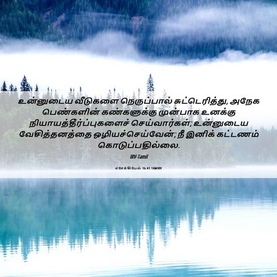 Picture 06 - எசேக்கியேல் 16:41 TAMIRV - உன்னுடைய வீடுகளை - Bible Verse Picture
