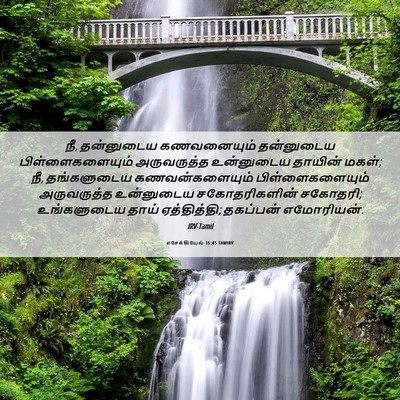 Picture 06 - எசேக்கியேல் 16:45 TAMIRV - நீ, தன்னுடைய - Bible Verse Picture