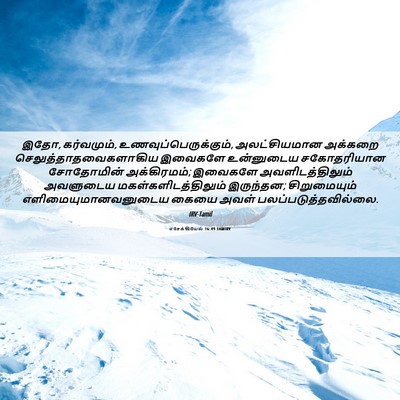 Picture 06 - எசேக்கியேல் 16:49 TAMIRV - இதோ, கர்வமும், - Bible Verse Picture