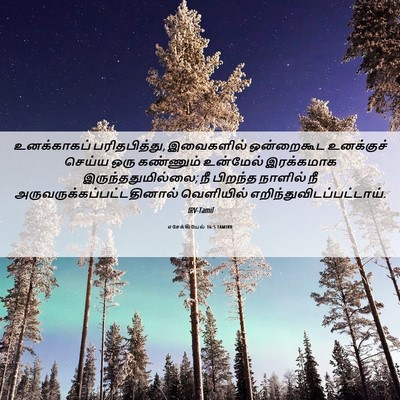 Picture 06 - எசேக்கியேல் 16:5 TAMIRV - உனக்காகப் - Bible Verse Picture