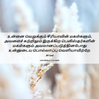 Picture 06 - எசேக்கியேல் 16:56 TAMIRV - உன்னை வெறுக்கும் - Bible Verse Picture