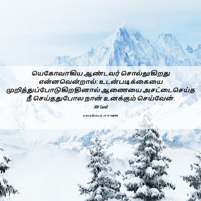 Picture 06 - எசேக்கியேல் 16:59 TAMIRV - யெகோவாகிய ஆண்டவர் - Bible Verse Picture