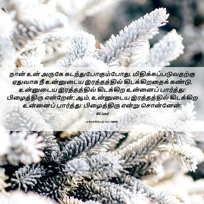Picture 06 - எசேக்கியேல் 16:6 TAMIRV - நான் உன் அருகே - Bible Verse Picture