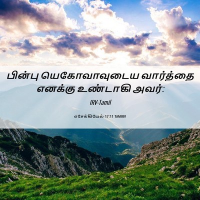 Picture 06 - எசேக்கியேல் 17:11 TAMIRV - பின்பு - Bible Verse Picture
