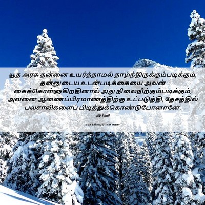Picture 06 - எசேக்கியேல் 17:14 TAMIRV - யூத அரசு தன்னை - Bible Verse Picture