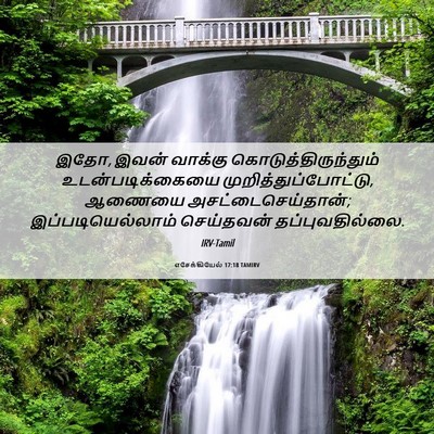 Picture 06 - எசேக்கியேல் 17:18 TAMIRV - இதோ, இவன் வாக்கு - Bible Verse Picture