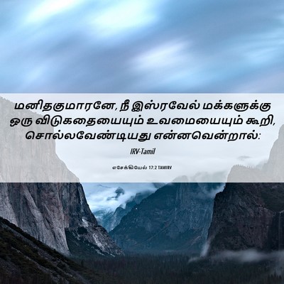 Picture 06 - எசேக்கியேல் 17:2 TAMIRV - மனிதகுமாரனே, நீ - Bible Verse Picture