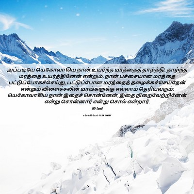 Picture 06 - எசேக்கியேல் 17:24 TAMIRV - அப்படியே - Bible Verse Picture