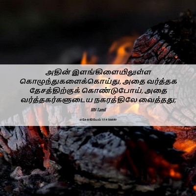 Picture 06 - எசேக்கியேல் 17:4 TAMIRV - அதின் - Bible Verse Picture