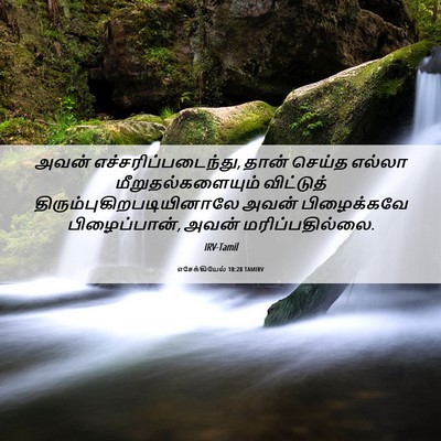 Picture 06 - எசேக்கியேல் 18:28 TAMIRV - அவன் - Bible Verse Picture