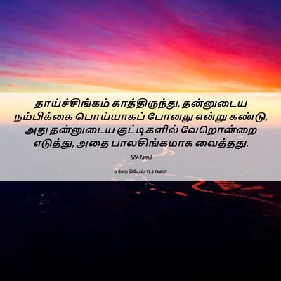 Picture 06 - எசேக்கியேல் 19:5 TAMIRV - தாய்ச்சிங்கம் - Bible Verse Picture