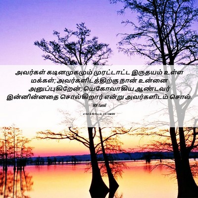 Picture 06 - எசேக்கியேல் 2:4 TAMIRV - அவர்கள் - Bible Verse Picture