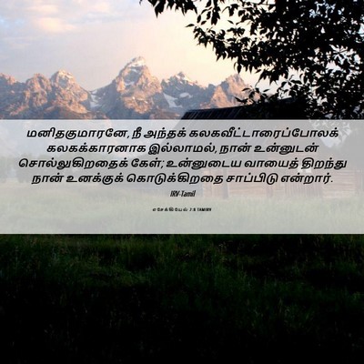 Picture 06 - எசேக்கியேல் 2:8 TAMIRV - மனிதகுமாரனே, நீ - Bible Verse Picture