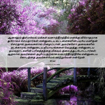 Picture 06 - எசேக்கியேல் 20:13 TAMIRV - ஆனாலும் இஸ்ரவேல் - Bible Verse Picture