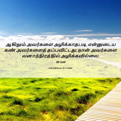 Picture 06 - எசேக்கியேல் 20:17 TAMIRV - ஆகிலும் அவர்களை - Bible Verse Picture