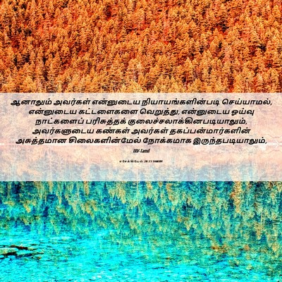 Picture 06 - எசேக்கியேல் 20:23 TAMIRV - ஆனாலும் அவர்கள் - Bible Verse Picture