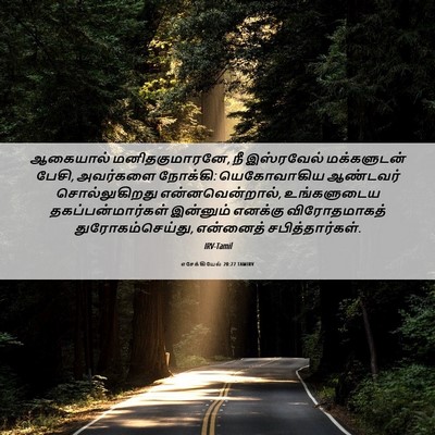 Picture 06 - எசேக்கியேல் 20:27 TAMIRV - ஆகையால் - Bible Verse Picture