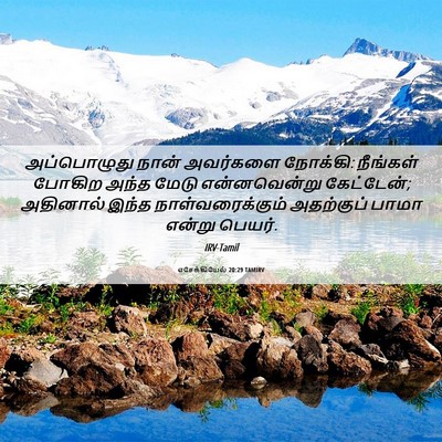 Picture 06 - எசேக்கியேல் 20:29 TAMIRV - அப்பொழுது நான் - Bible Verse Picture