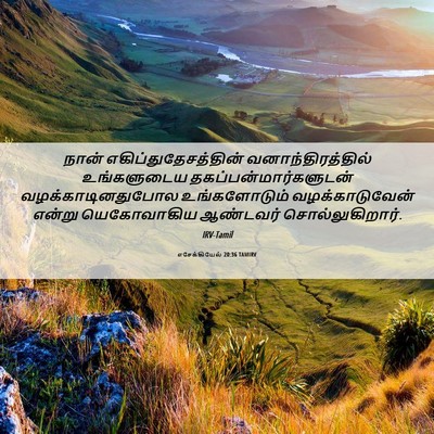 Picture 06 - எசேக்கியேல் 20:36 TAMIRV - நான் - Bible Verse Picture