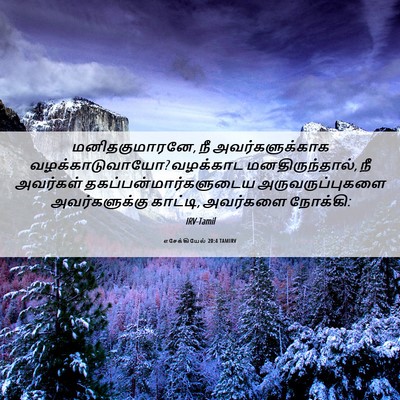 Picture 06 - எசேக்கியேல் 20:4 TAMIRV - மனிதகுமாரனே, நீ - Bible Verse Picture