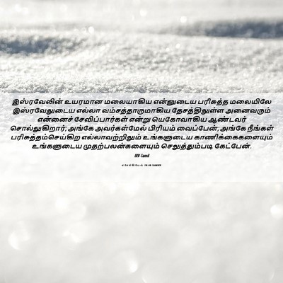 Picture 06 - எசேக்கியேல் 20:40 TAMIRV - இஸ்ரவேலின் உயரமான - Bible Verse Picture
