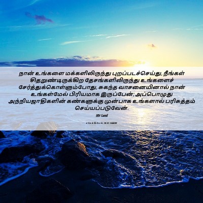 Picture 06 - எசேக்கியேல் 20:41 TAMIRV - நான் உங்களை - Bible Verse Picture