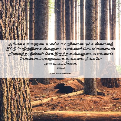 Picture 06 - எசேக்கியேல் 20:43 TAMIRV - அங்கே உங்களுடைய - Bible Verse Picture