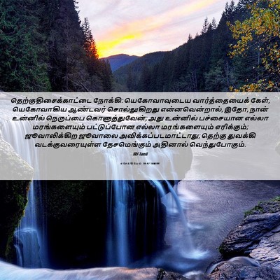 Picture 06 - எசேக்கியேல் 20:47 TAMIRV -  - Bible Verse Picture