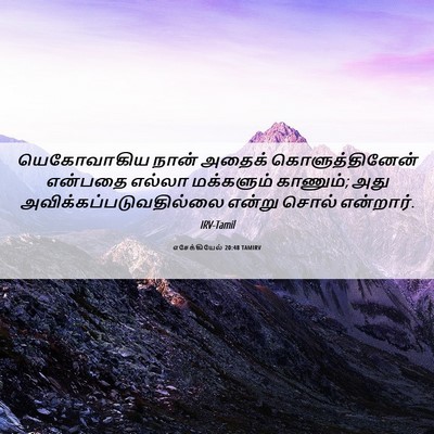 Picture 06 - எசேக்கியேல் 20:48 TAMIRV - யெகோவாகிய நான் - Bible Verse Picture