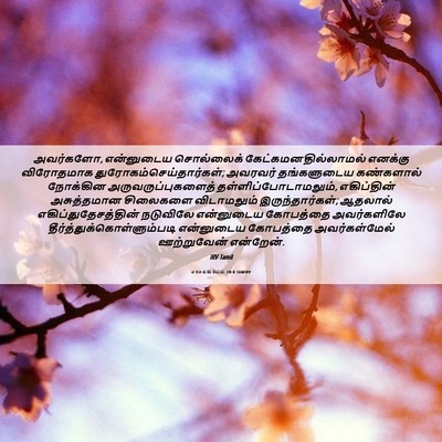 Picture 06 - எசேக்கியேல் 20:8 TAMIRV - அவர்களோ, என்னுடைய - Bible Verse Picture