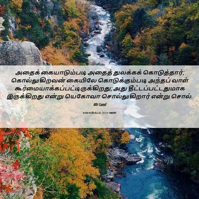 Picture 06 - எசேக்கியேல் 21:11 TAMIRV - அதைக் கையாடும்படி - Bible Verse Picture