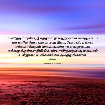 Picture 06 - எசேக்கியேல் 21:12 TAMIRV - மனிதகுமாரனே, நீ - Bible Verse Picture