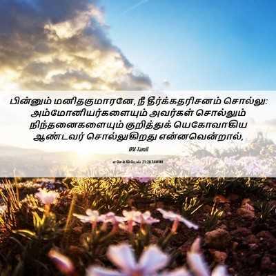 Picture 06 - எசேக்கியேல் 21:28 TAMIRV - பின்னும் - Bible Verse Picture