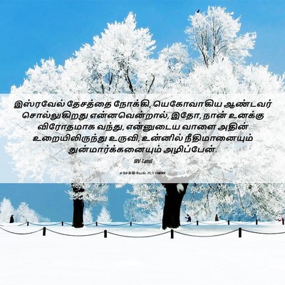 Picture 06 - எசேக்கியேல் 21:3 TAMIRV - இஸ்ரவேல் தேசத்தை - Bible Verse Picture
