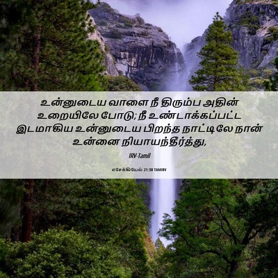 Picture 06 - எசேக்கியேல் 21:30 TAMIRV - உன்னுடைய வாளை நீ - Bible Verse Picture