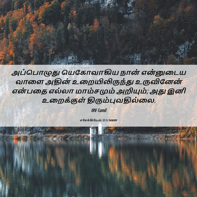 Picture 06 - எசேக்கியேல் 21:5 TAMIRV - அப்பொழுது - Bible Verse Picture