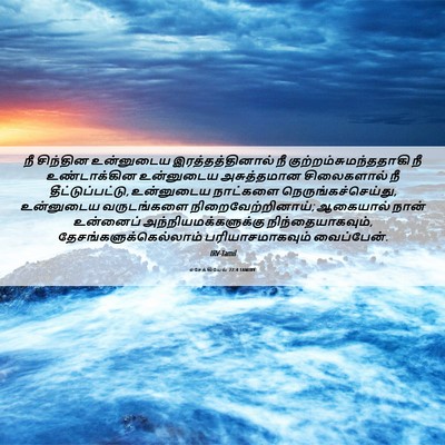 Picture 06 - எசேக்கியேல் 22:4 TAMIRV - நீ சிந்தின - Bible Verse Picture