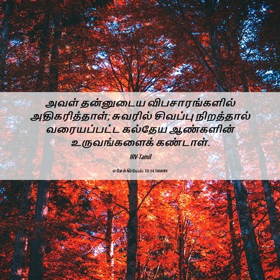 Picture 06 - எசேக்கியேல் 23:14 TAMIRV - அவள் தன்னுடைய - Bible Verse Picture