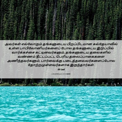Picture 06 - எசேக்கியேல் 23:15 TAMIRV - அவர்கள் எல்லோரும் - Bible Verse Picture