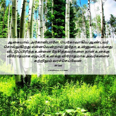 Picture 06 - எசேக்கியேல் 23:22 TAMIRV - ஆகையால், - Bible Verse Picture