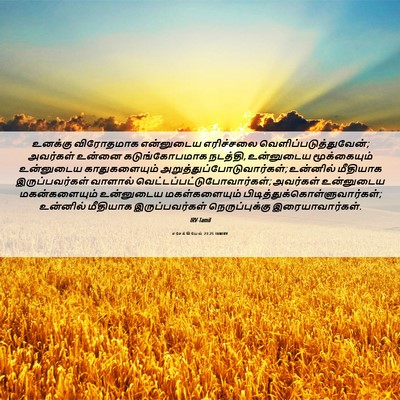 Picture 06 - எசேக்கியேல் 23:25 TAMIRV - உனக்கு விரோதமாக - Bible Verse Picture