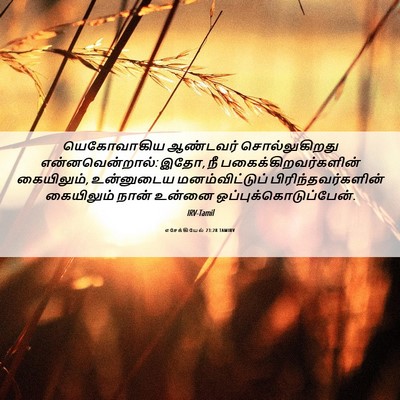 Picture 06 - எசேக்கியேல் 23:28 TAMIRV - யெகோவாகிய ஆண்டவர் - Bible Verse Picture