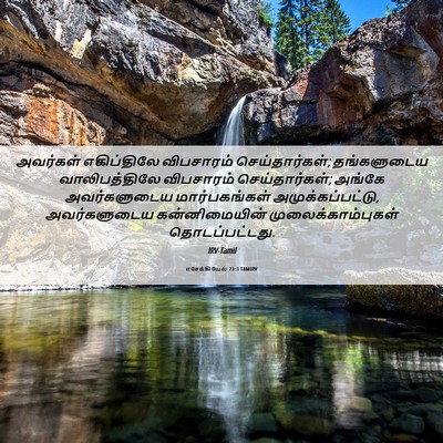 Picture 06 - எசேக்கியேல் 23:3 TAMIRV - அவர்கள் எகிப்திலே - Bible Verse Picture