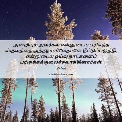 Picture 06 - எசேக்கியேல் 23:38 TAMIRV - அன்றியும் அவர்கள் - Bible Verse Picture